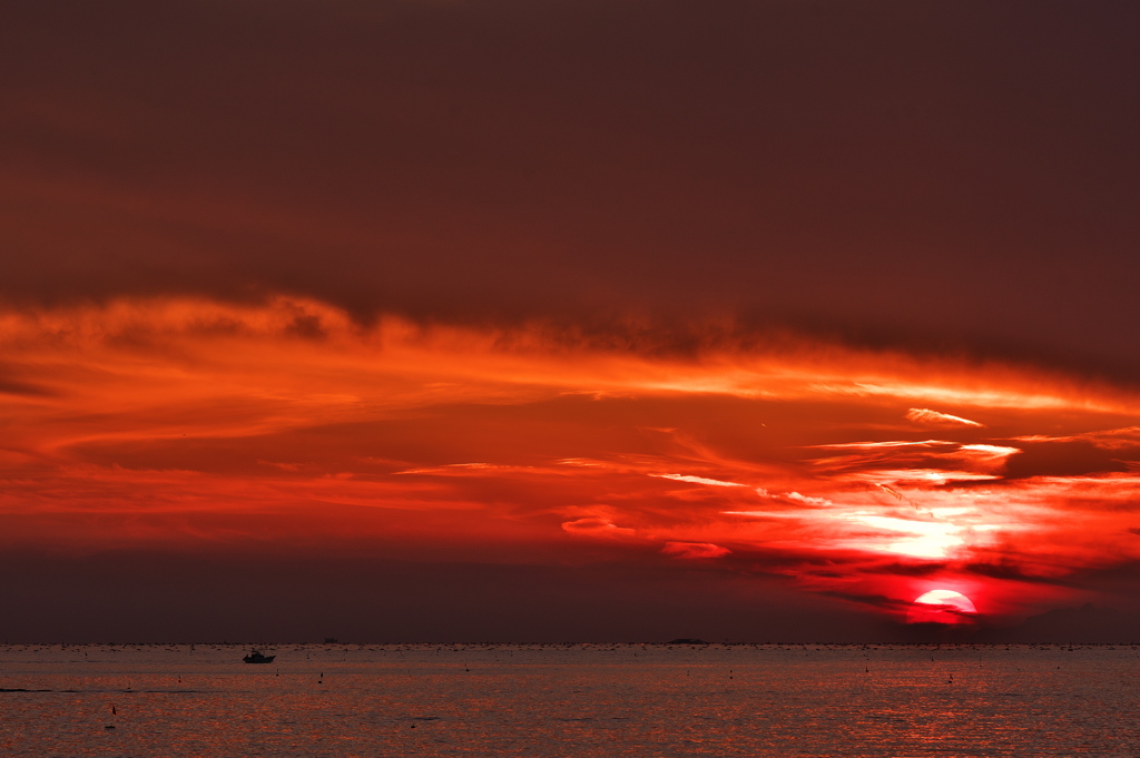 初冬の播磨灘の夕日