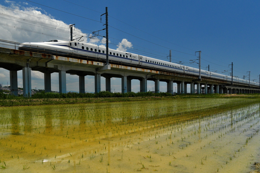 水田を行く新幹線２（Ｎ７００Ｓ）