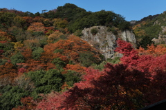 小豆島寒霞渓（かんかけい）１