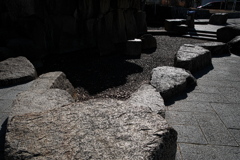 中尾親水公園スナップ２