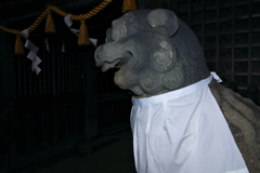 住吉神社の狛犬（こまいぬ）１