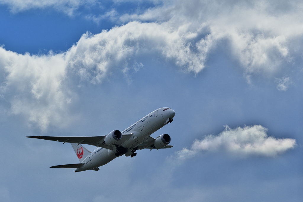 エアフロントオアシス下河原にて３（ＪＡＬ）
