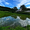高天寺橋本院にて１（水田）