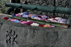奈良岡寺の花手水（手水舎）