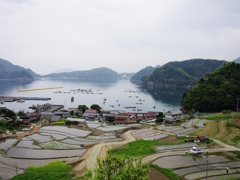 北陸越前海岸の旅１０（日引の棚田）