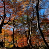 ＪＲ福知山線廃線敷を歩く６（親水広場の紅葉）