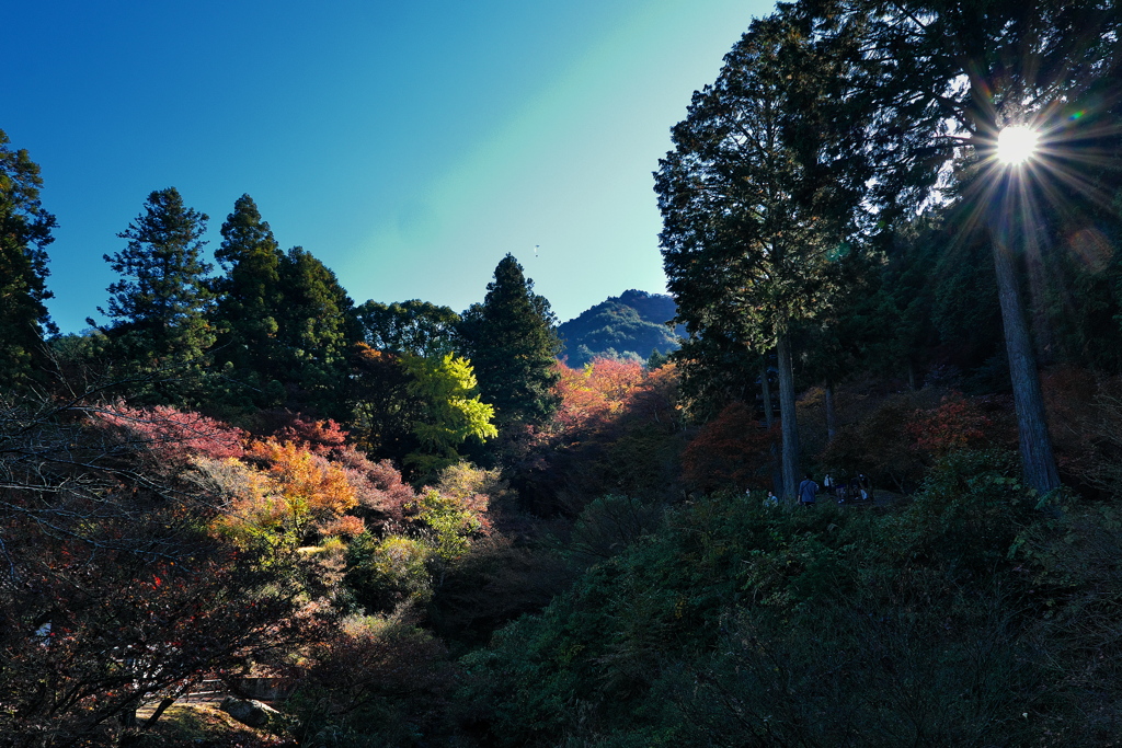 丹波古刹の紅葉１高源寺（こうげんじ）