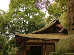 古都奈良の風景５