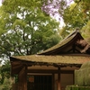 古都奈良の風景５