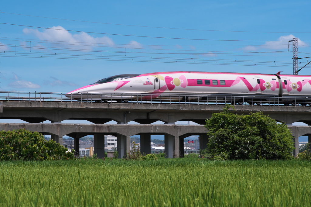 夏空を行くハローキティ新幹線