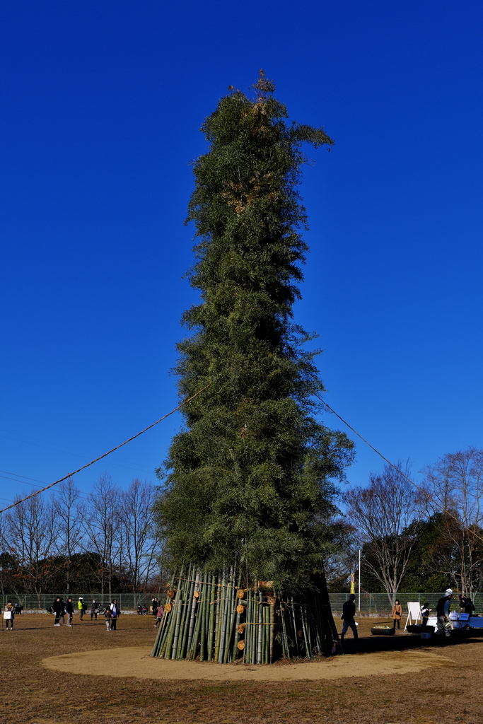 森林植物園とんどやき（点火前）１