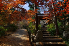 京都亀岡神蔵寺（じんぞうじ）の紅葉