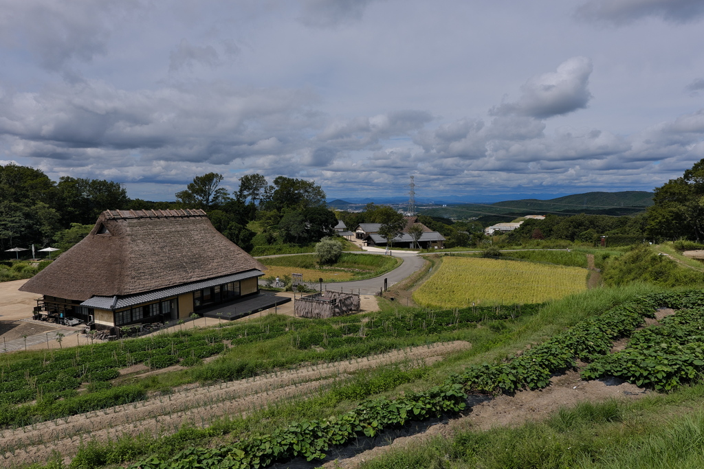 あいな里山公園にて（里山の風景）
