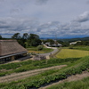 あいな里山公園にて（里山の風景）