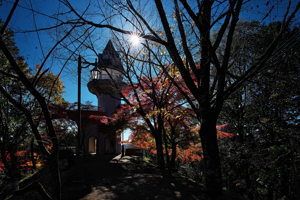 最上山（さいじょうさん）公園もみじ山にて８