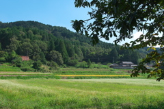 里山の風景１（犬甘野の里）