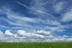 土手上の夏空