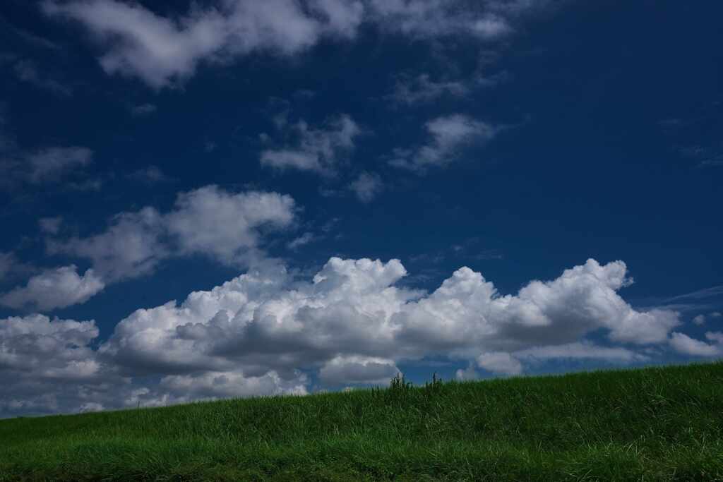 溜池土手と雲