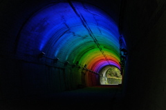 森林植物園の青葉トンネル１