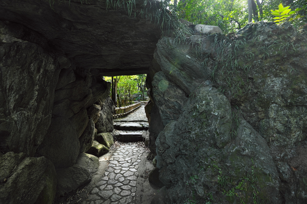 相楽園にて４（日本庭園）