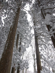 金剛山の雪景色２