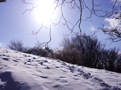 金剛山の雪景色１