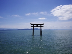 湖中の鳥居（白髭神社）