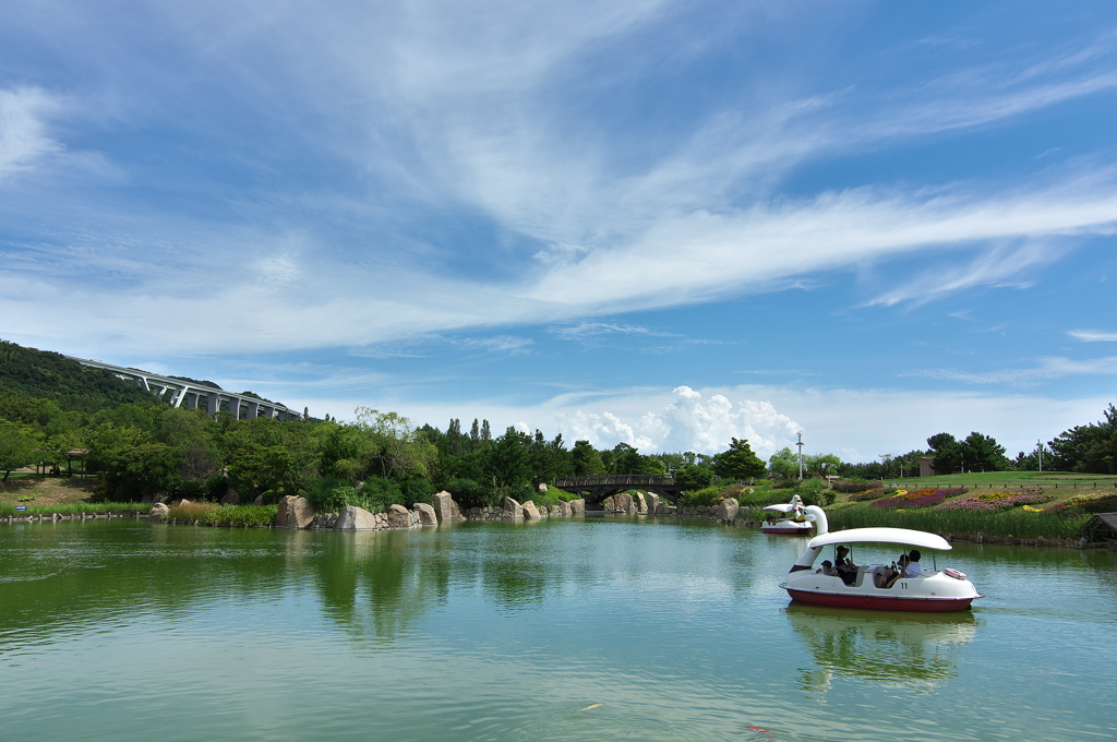 国営明石海峡公園１（花の中海）