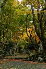 鶏足寺（けいそくじ）大門跡２