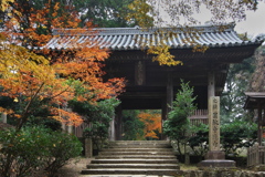 晩秋の書写山円教寺にて（仁王門）