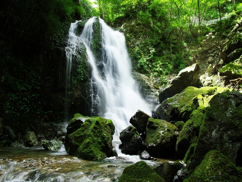 延ケ滝（のぶがたき）