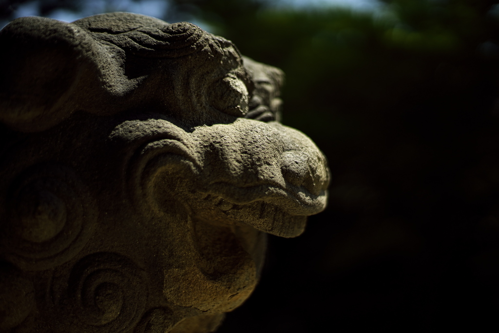 住吉神社の楼門にて（狛犬）