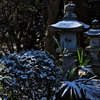 住吉神社の雪景色（灯籠）
