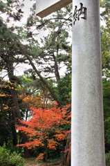 紅葉も見納め（魚住住吉神社）３