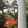 紅葉も見納め（魚住住吉神社）３