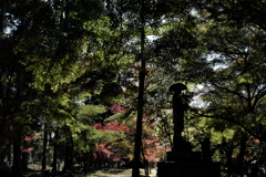 丹波古刹の紅葉５高山寺（こうさんじ）