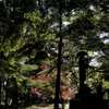 丹波古刹の紅葉５高山寺（こうさんじ）