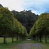 室生山上公園芸術の森（波形の土盛）