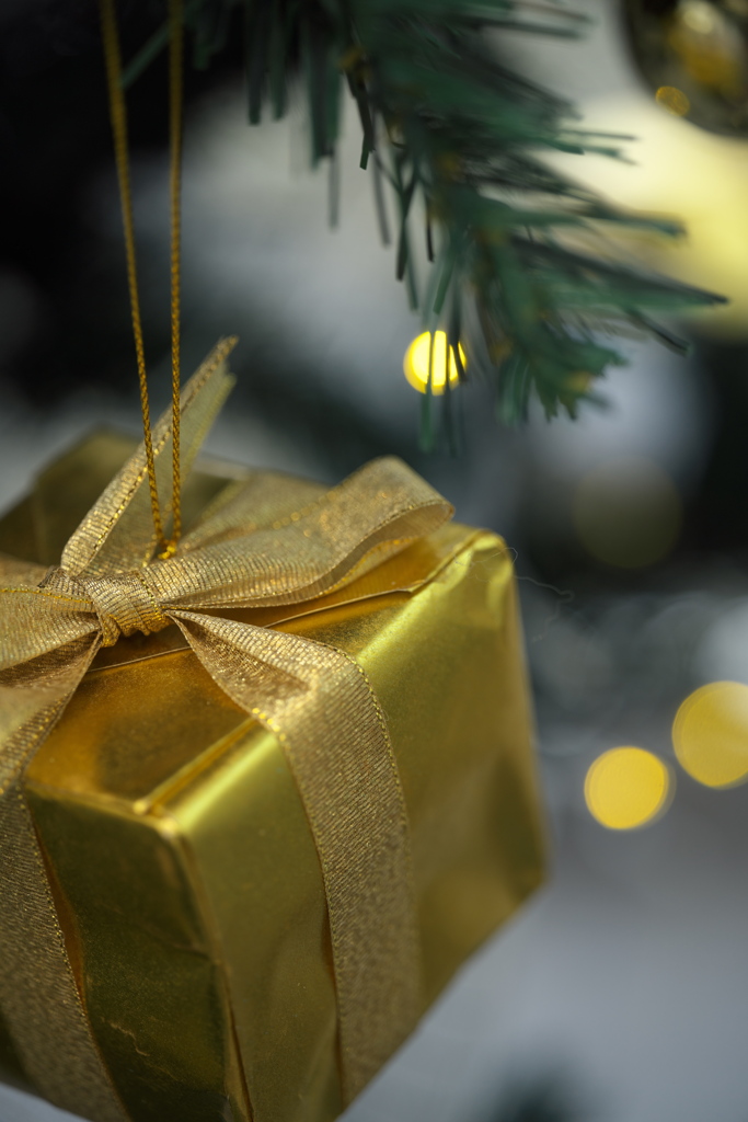 市民会館のクリスマスツリー１