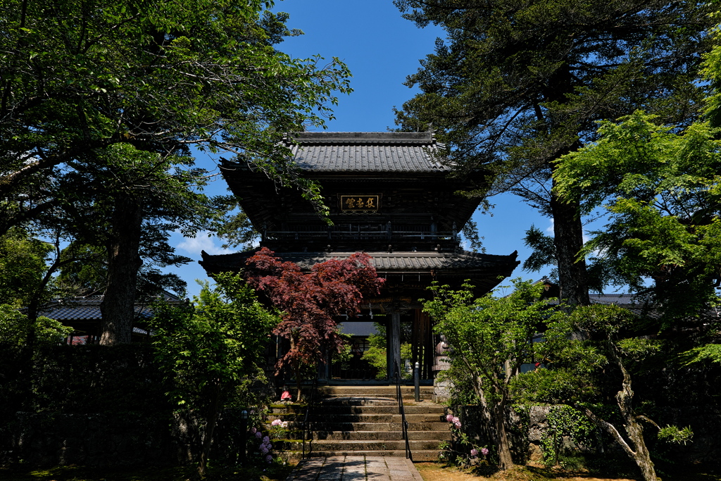 隆国寺（りゅうこくじ）の山門