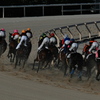 園田競馬場にて１