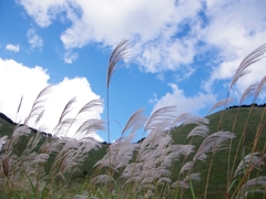 曽爾高原２