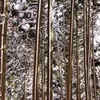金剛山の雪景色４