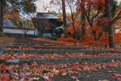 丹波は玉雲寺（ぎょくうんじ）にて１