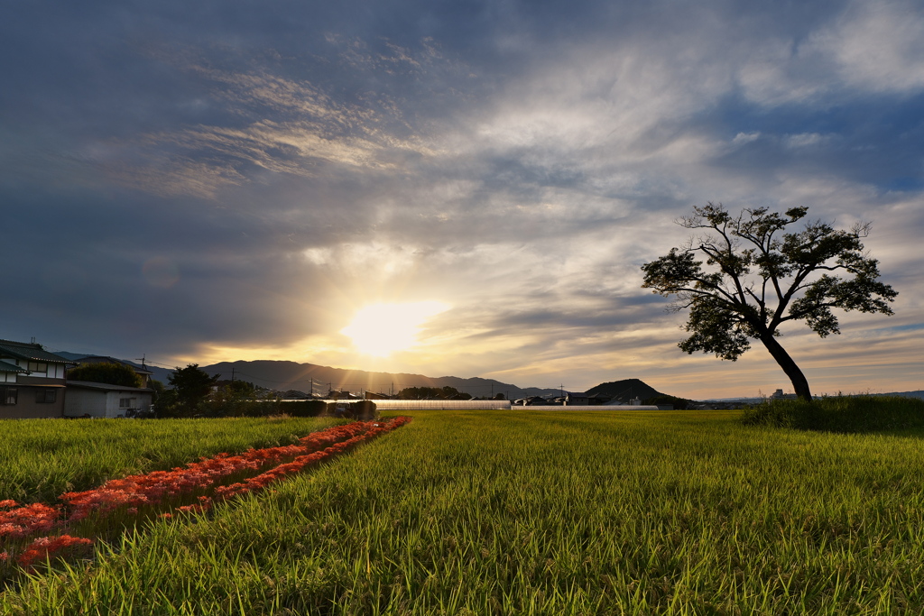 古宮土壇（ふるみやどだん）の夕景１