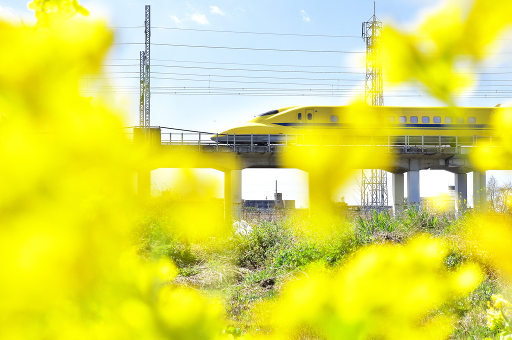 ドクターイエローとの遭遇６８