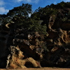 高池の虫喰岩２
