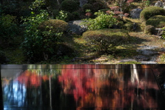 丹波古刹の紅葉８三寳寺（さんぼうじ）