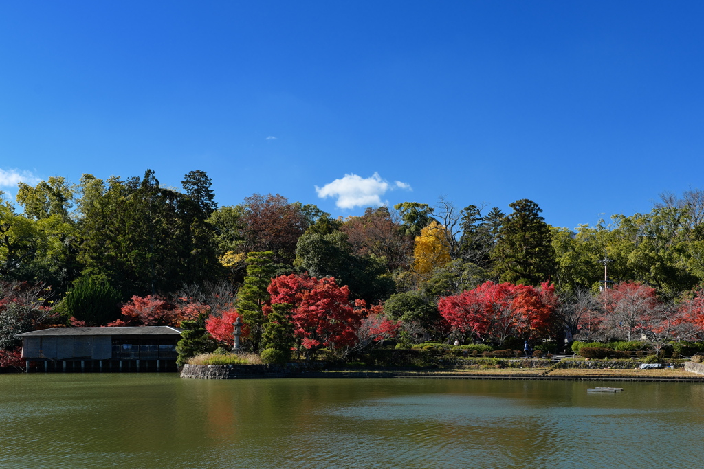 長岡天満宮にて（八条が池）