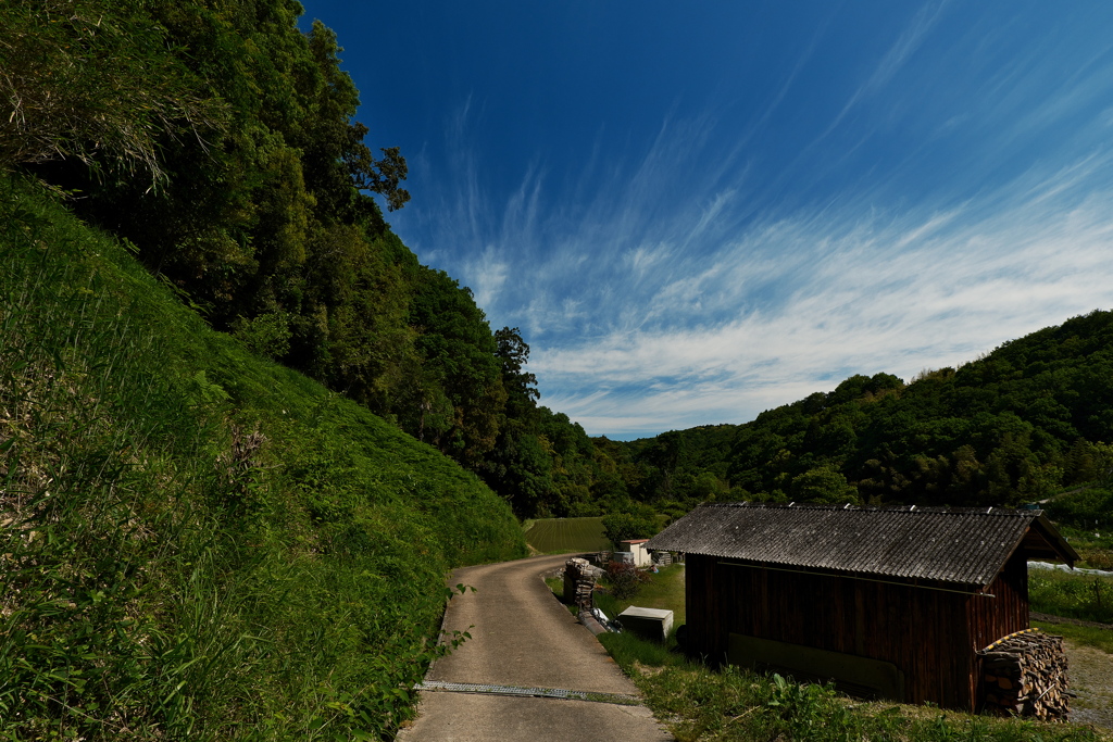 藍那（あいな）里山の風景１